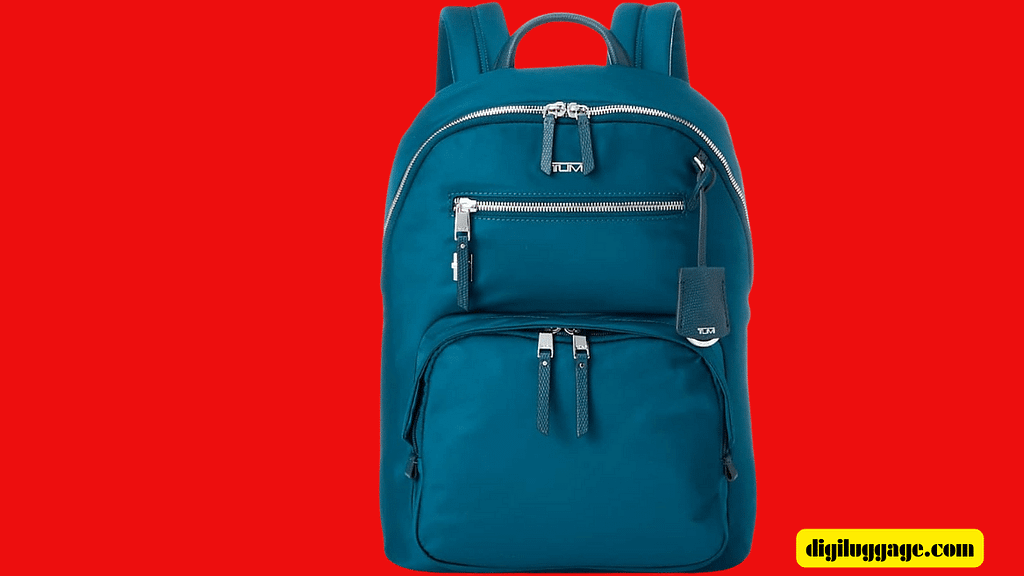 How-to-clean-tumi-backpack