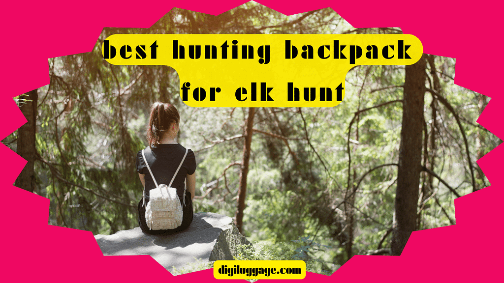 Best Hunting Backpack for Elk Hunt