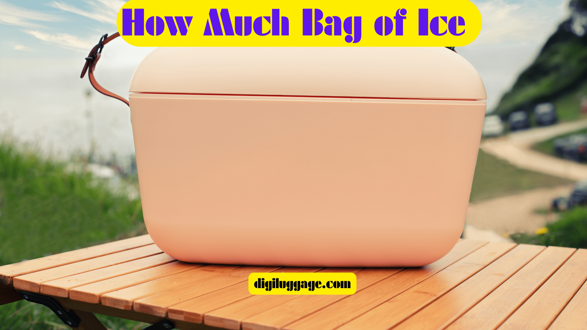 How Much Bag of Ice Cost? Exploring the Cost and Convenience